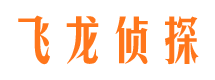 武江市婚姻调查